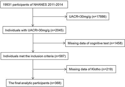 Relationships between serum Klotho concentrations and cognitive performance among older chronic kidney disease patients with albuminuria in NHANES 2011-2014